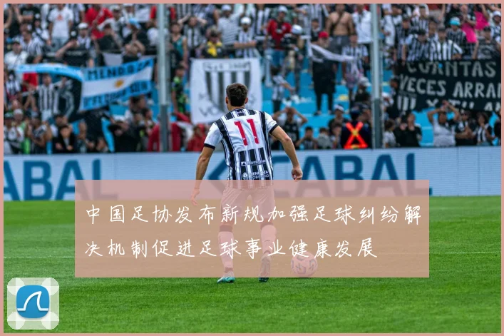 中国足协发布新规加强足球纠纷解决机制促进足球事业健康发展